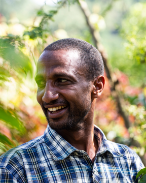 Jimma Gomma