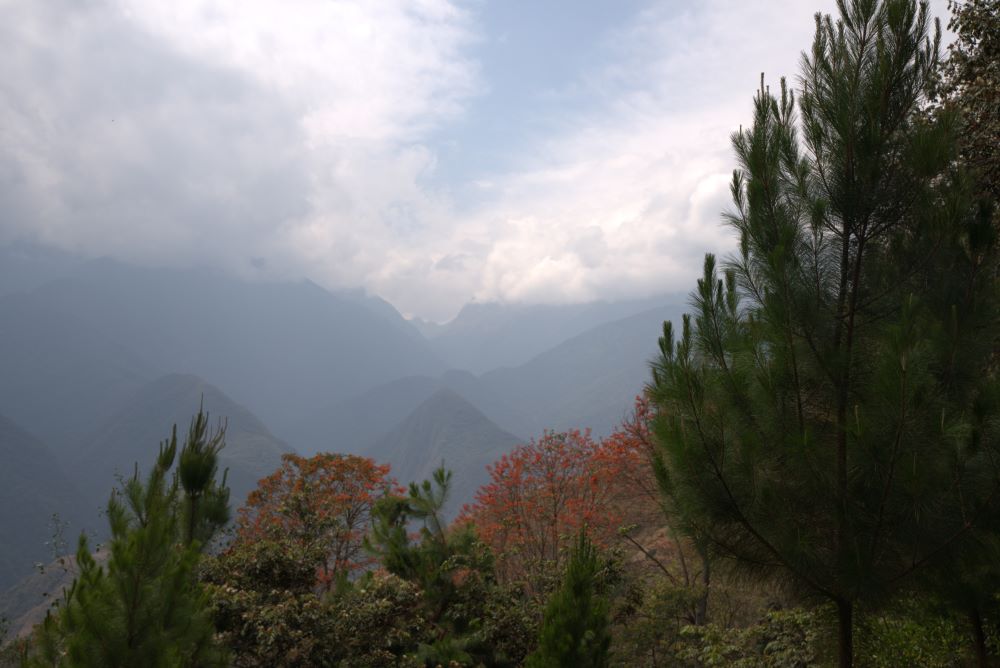 The mountains of Acconcharcas, a Peruvian region where specialty coffees are grown