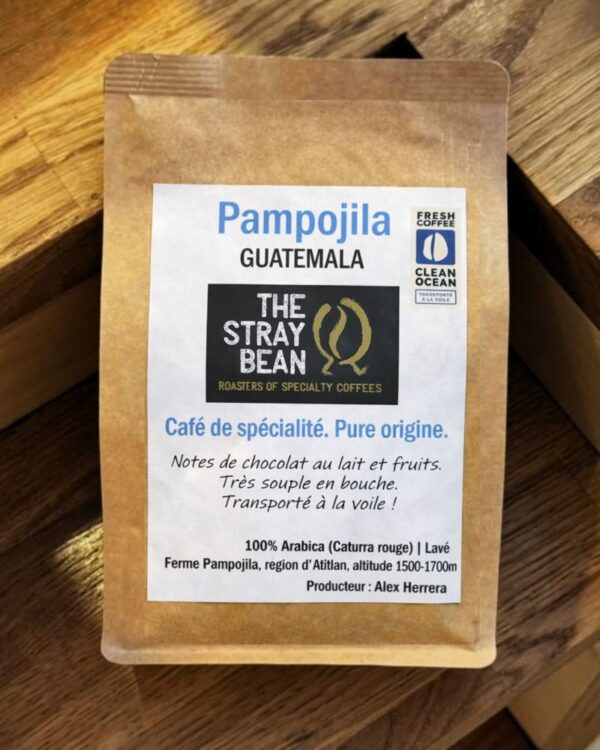 Sachet de café en grains, Guatemala Pampojila