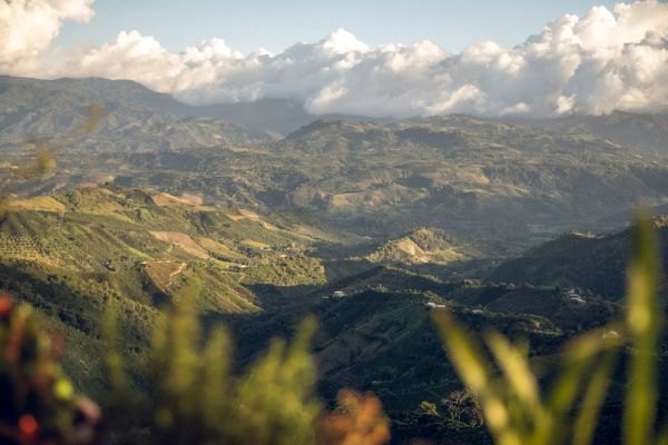 La magnifique région de Huila en Colombie, l'origine de notre café Palermo