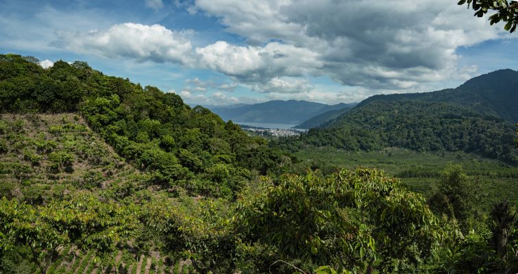 La belle région de Sololá, au sud du lac Atitlán, Guatemala, où se trouve la Finca Pampojila